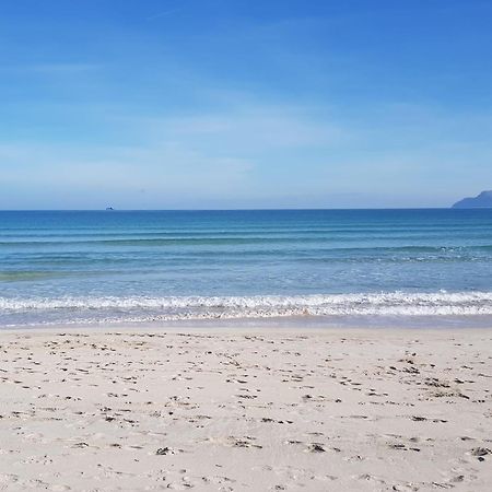 Ideal Property Mallorca - Mary بورت ذالكوذيا المظهر الخارجي الصورة